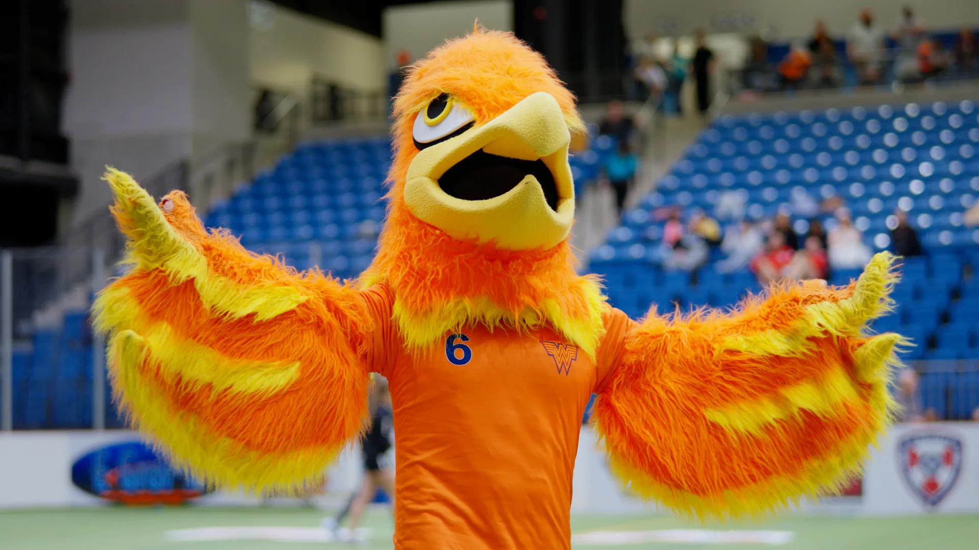 Wichita Wings 3